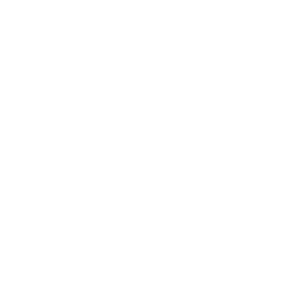 01.
